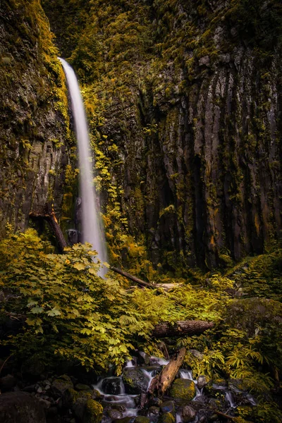 Cascade Dans Environnement Canyon Luxuriant Des Gorges Fleuve Columbia Oregon — Photo