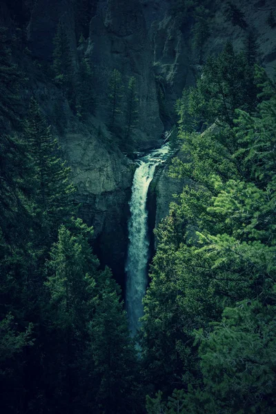 şelale yellowstone Milli Parkı