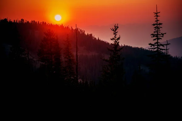 Orange Glühende Wildnis Sonnenuntergang — Stockfoto