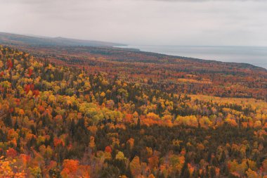Minnesota 'da sonbahar boyunca hiç bitmeyen renk yaprakları