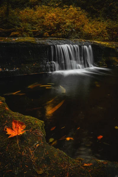 Herbstlaub Und Wasserfall Herbst Oregon — Stockfoto