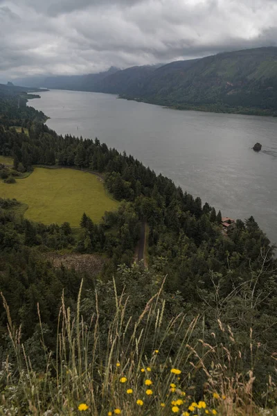 Majestätische Aussicht Auf Die Columbia River Gorge Pazifik Nordwesten — Stockfoto