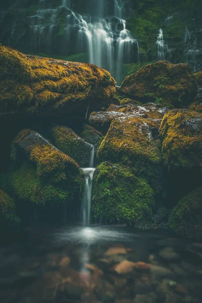 Cascade Dans Forêt Sombre Luxuriante Mousseuse Oregon — Photo