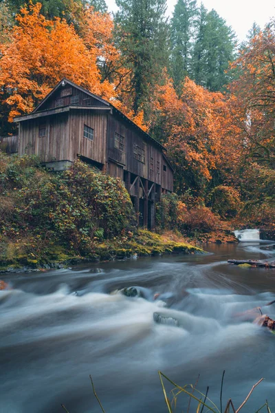 Autumn Scenics Cedar Creek Washington State — Stock Photo, Image