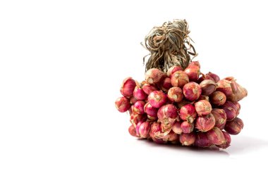 Beyaz Arkaplanda Shallot bir soğan türüdür, özellikle Allium cepa türünün botanik çeşitliliğidir.