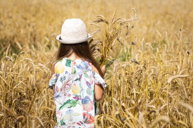  Şapkalı bir kız buğday tarlasında yürüyor. Huzur, sakinlik ve koşuşturma sonrası rahatlama havası. Temmuz 'da Belarus' un buğday tarlası. Yaz güneşli bir gün.