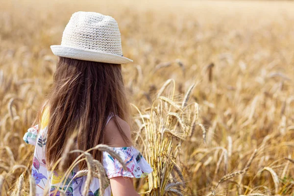  Şapkalı bir kız buğday tarlasında yürüyor. Huzur, sakinlik ve koşuşturma sonrası rahatlama havası. Temmuz 'da Belarus' un buğday tarlası. Yaz güneşli bir gün.