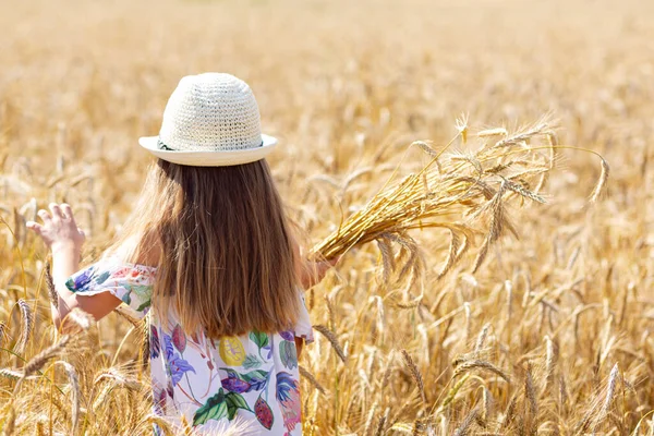  Şapkalı bir kız buğday tarlasında yürüyor. Huzur, sakinlik ve koşuşturma sonrası rahatlama havası. Temmuz 'da Belarus' un buğday tarlası. Yaz güneşli bir gün.