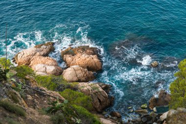 Mallorca sahili manzaralı. İspanya 'da ailecek tatiller. Güneşli bir gün ve soğuk bir rüzgar. Sudaki siyah bitkiler. Deniz sıcak ve güzeldir. Rahatlama.