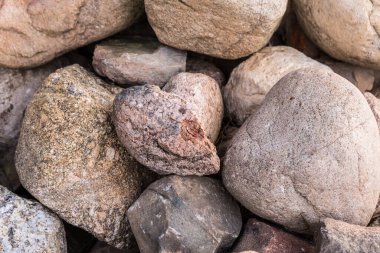 Etrafında bitkiler olan doğal taşlar. Çimenlerdeki taşların farklı boyutlarda ve renklerde olması. Taş zemin. Fotoğraf 9.