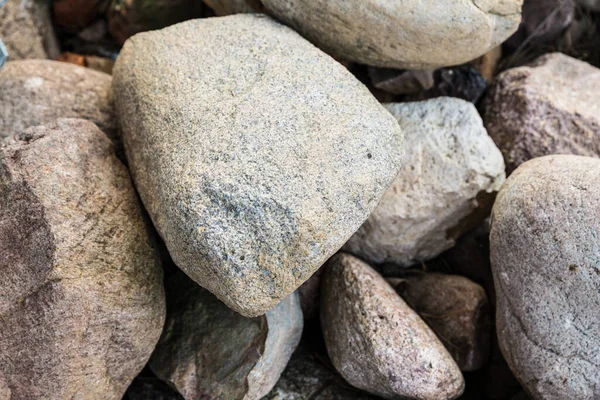 Pedras Naturais Com Plantas Redor Textura Das Pedras Diferentes Tamanhos Fotos De Bancos De Imagens