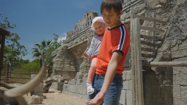 Family visiting the zoo. Caucasian teen boy with smiling baby girl in his arms feeding a goat with large horns. — Stock Video