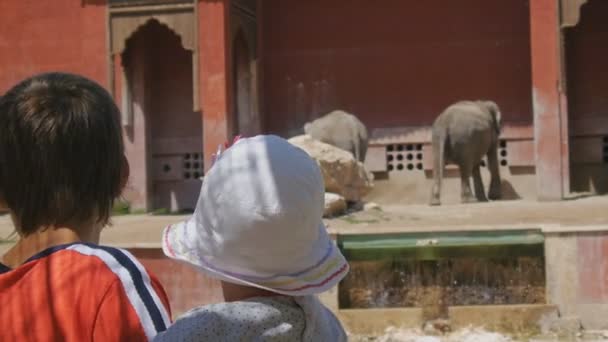 Rodzinne zwiedzanie zoo. Kaukaski teen chłopiec z dziewczynka w jego ramionach, patrząc na dwa słonie stojący w pobliżu budynku w stylu indyjskim. — Wideo stockowe