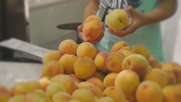 Handen kiezen en perziken op landelijke markt van groenten en fruit plukken. — Stockvideo
