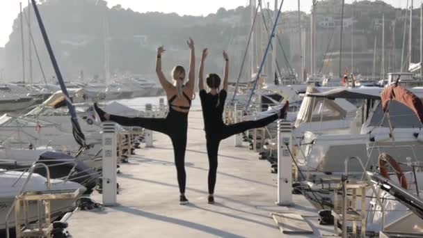 Giovani donne che fanno esercizi al porto marittimo. Colpo lungo di vestibilità attraente ragazze caucasiche riscaldarsi facendo stretching sul molo . — Video Stock