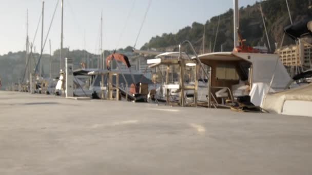 Jonge vrouwen doen oefeningen op zee haven. Fit aantrekkelijke Kaukasische meisjes gonna opleiding op de pier. — Stockvideo