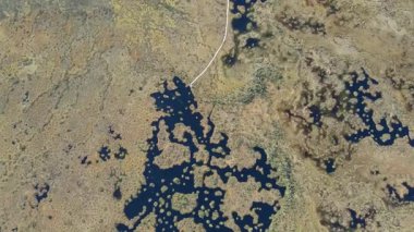 İnsansız hava aracı, Belarus 'taki Yelnya bataklığının üzerinde süzülüyor, sulak alanlar, göller, orman adaları ve doğal alanı kesen beyaz bir tahta yol ortaya çıkıyor..