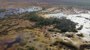 İnsansız hava aracı, Belarus 'taki Yelnya bataklığının geniş bir görüntüsünü yakalar, sulak alanlar, dağınık göller, orman arazileri ve birbirine bağlı su kanallarını gösterir..