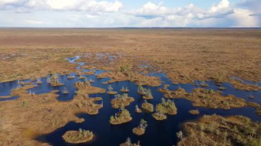 İnsansız hava aracı Belarus 'taki Yelnya bataklığını ele geçirir. Sulak alanları, gölleri, kanalları ve orman adalarını sürekli ilerleyen bulutlu bir gökyüzünün altında gösterir..