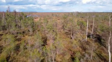 İnsansız hava aracı, Belarus 'taki Yelnya bataklığını geniş bir doğal ortamda sulak alanlar, küçük göller, kanallar ve orman adalarını gösteren geniş bir görüntü yakalar..