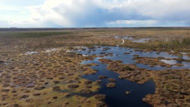 İnsansız hava aracı, Belarus 'taki Yelnya bataklığının üzerinde süzülerek, parçalı bulutlu bir gökyüzü altında sulak alanlar, küçük göller, kanallar ve orman adalarını ortaya çıkarıyor..