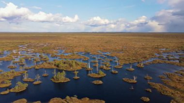 İnsansız hava aracı, Belarus 'taki Yelnya bataklığının üzerinde süzülerek sulak alanlar, orman adaları, su kanalları ve el değmemiş doğal bir manzaradaki bulutları gözler önüne seriyor..