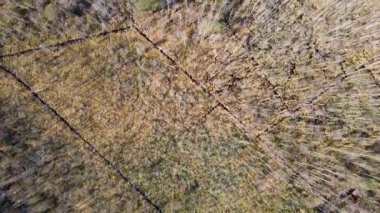 Beyaz Rusya 'daki Yelnya bataklığının hava manzaraları, sulak alanlar, ormanlık alanlar, açık alanlar, kırsal yapılar ve dramatik bulutlu bir gökyüzü..