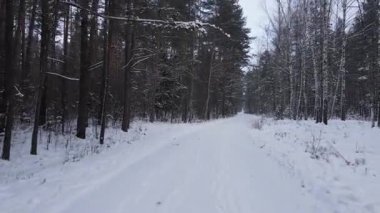 Drone yoğun bir kış ormanında dar bir patika boyunca ilerler. Karla kaplı çam ağaçları ve huş ağaçları yol boyunca uzanır, sakin bir manzara yaratır..