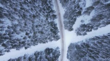 Drone yoğun bir kış ormanında dar bir patika boyunca ilerler. Karla kaplı çam ağaçları ve huş ağaçları yol boyunca uzanır, sakin bir manzara yaratır..