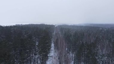 Drone yoğun bir kış ormanında dar bir patika boyunca ilerler. Karla kaplı çam ağaçları ve huş ağaçları yol boyunca uzanır, sakin bir manzara yaratır..