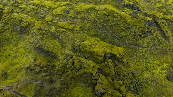 Bereketli yeşil yosun örtüleri İzlanda 'da engebeli bir volkanik arazi, dolambaçlı yollar ve gökyüzünden görülebilen kayalık çıkıntılar..
