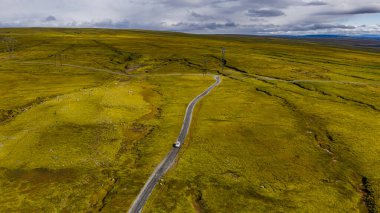 Beyaz bir araç İzlanda 'da yosun kaplı arazide dar çakıllı bir yolda ilerliyor. Elektrik hatları bulutlu ve uzak arazide uzanıyor..