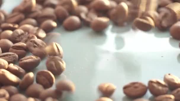Падение жареных кофейных зерен крупным планом, солнечный свет — стоковое видео