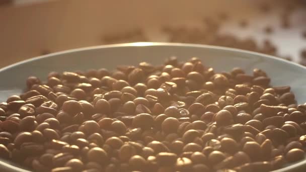Кавові зерна на тарілці обертаються, сонце вранці — стокове відео