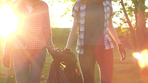 Chicas coed recolección de basura en el Parque, Soleado — Vídeo de stock