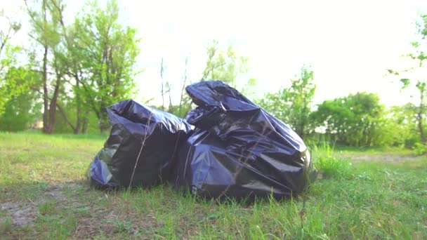 Bolsa de plástico con basura después de limpiar a nadie — Vídeo de stock