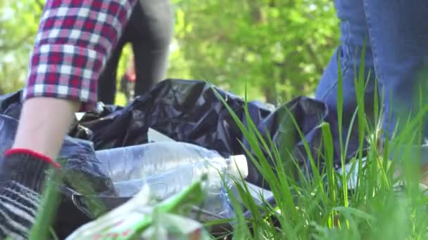 Bénévoles ramassent les ordures dans des sacs en plastique concept close-up — Video