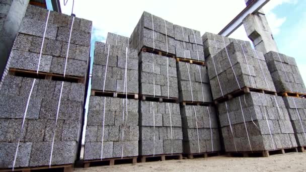 Bouwen van blokken van cement en hout-chips — Stockvideo