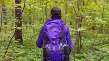 kız bir sırt çantası ile yeşil ormandır