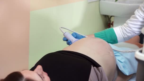 Ventre d'une fille enceinte à l'examen échographique dans le bureau des médecins — Video