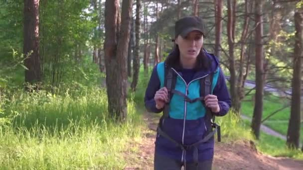 Дівчина турист з великим рюкзаком йде в сосновий ліс на заході сонця — стокове відео