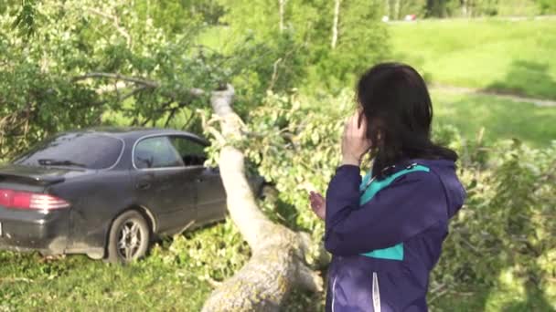 A fa után a hurrikán esett az autó, a lány felhívja a mentők — Stock videók