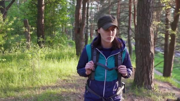 Touristin mit Rucksack in der Mütze geht durch den Wald, Sonnenuntergang — Stockvideo