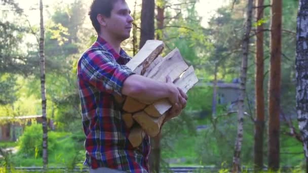 Bengalas de sol, el hombre en una camisa, llevando madera astillas troncos de abedul lento mo — Vídeos de Stock