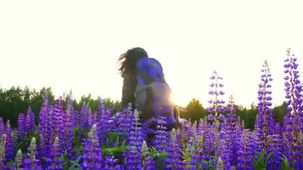 Meisje toerist met een rugzak op zonsondergang in een weelderige veld gelukkig — Stockvideo