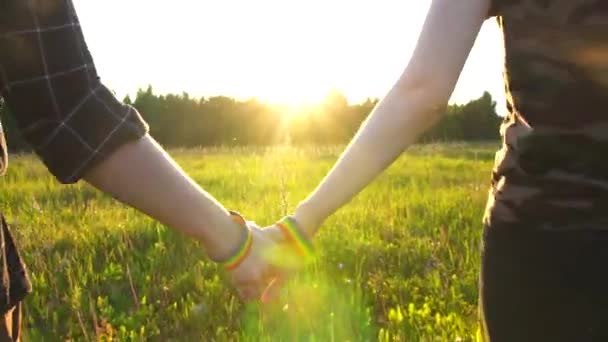 Duas meninas andando de mãos dadas no campo ao pôr do sol, sol, símbolo LGBT — Vídeo de Stock