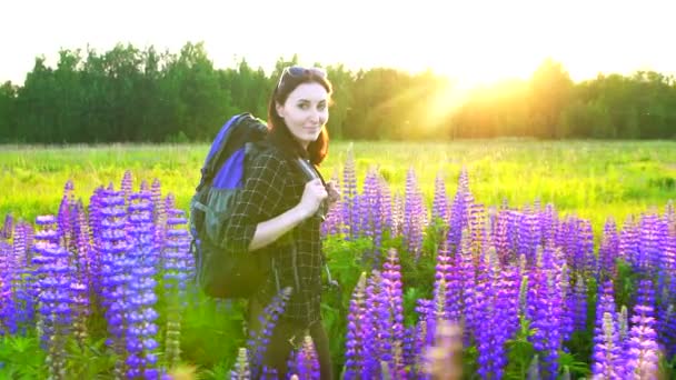 Portrait d'une touriste avec un sac à dos au coucher du soleil est un champ en fleurs avec des lupins, en regardant la caméra — Video