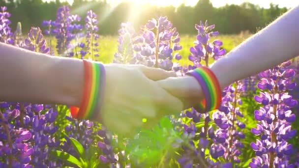 Conceito LGBT, duas mãos segurando um ao outro estão em campo ao pôr do sol — Vídeo de Stock