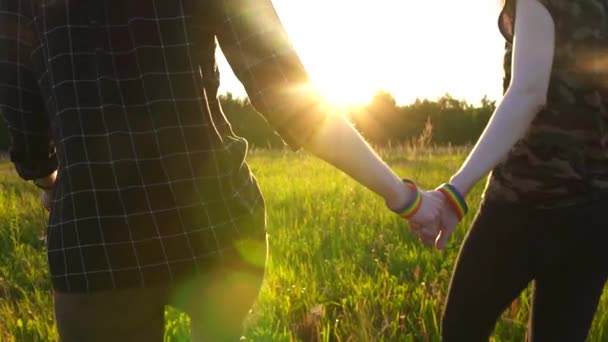 Duas meninas andando de mãos dadas no campo ao pôr do sol, sol, símbolo LGBT, slow mo — Vídeo de Stock