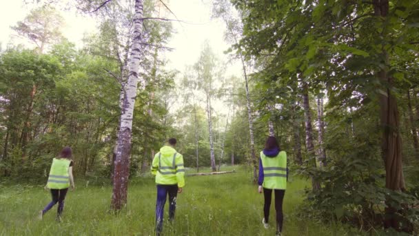 Redders in groene vesten zoekt naar het vermiste kind in de avond in het bos — Stockvideo